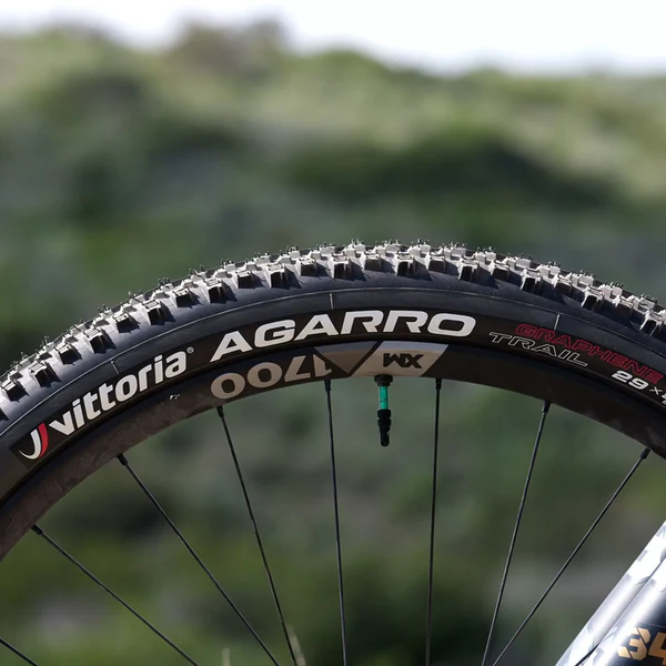 LLANTA VITTORIA AGARRO 29x2.4TRAIL 