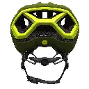 2804076917C.webp