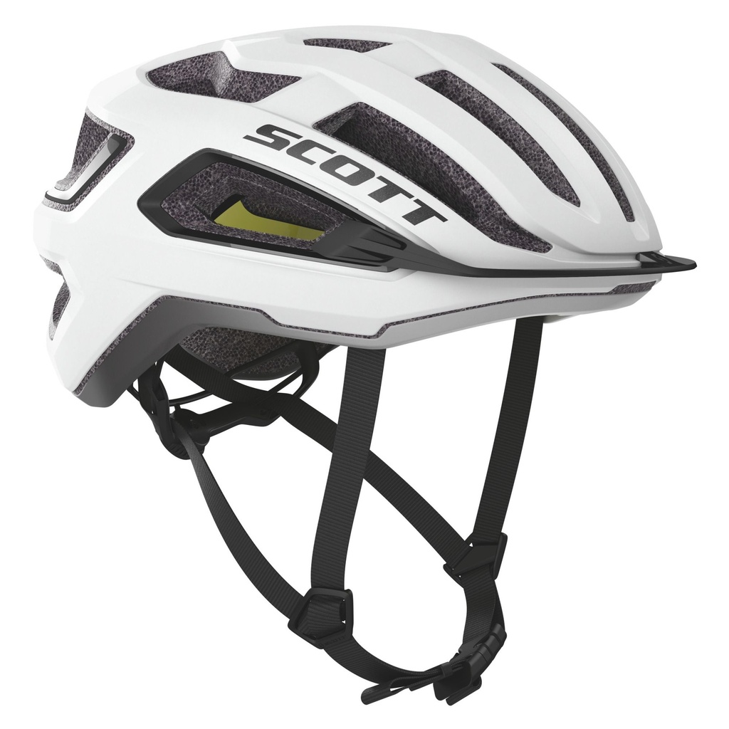 288584 CASCO SCOTT ARX PLUS