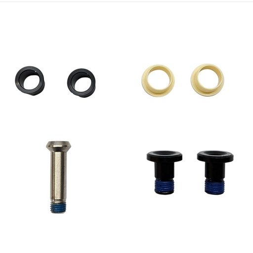 [421613-9999222] 421613 TORNILLOS P AMORTIGUADOR RANSOM 24